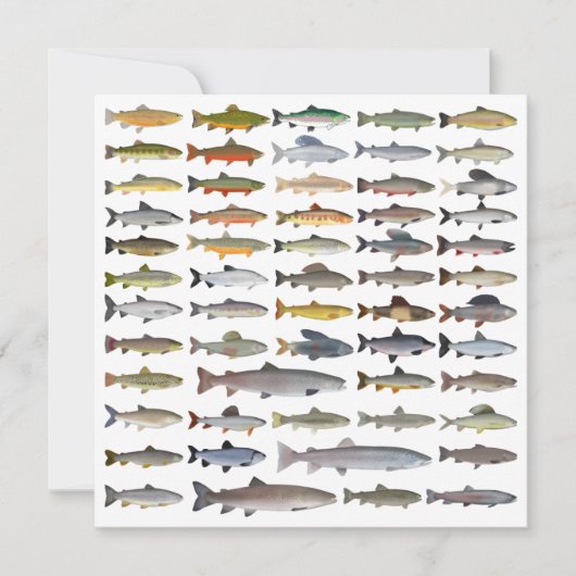 Groep forel, char, grijs, Hucho en Whitefish Notitiekaartje (Voorkant)