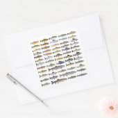 Groep forel, char, grijs, Hucho en Whitefish Vierkante Sticker (Envelop)