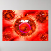 Groep H5N1-virus met Glassy Uitzicht 1 Poster (Voorkant)