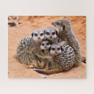 Groep Meerkatten bij elkaar Legpuzzel