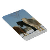Groep minipaarden in de sneeuw magneet (Rechterzijde)