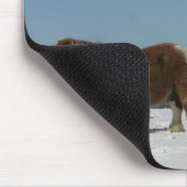 Groep minipaarden in de sneeuw muismat (Hoek)