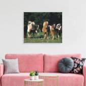 Groep miniveulens canvas afdruk (Insitu (Woonkamer))
