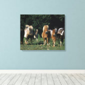 Groep miniveulens canvas afdruk (Insitu (Houten vloer))