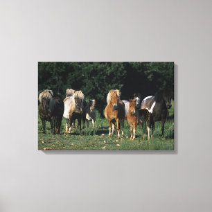 Groep miniveulens canvas afdruk