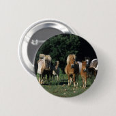 Groep miniveulens ronde button 5,7 cm (Voorkant /achterkant)