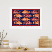 groep o ' groupers poster (Keuken)