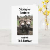 GROEP OF PAAR EZEL GELUKKIG * 16e * Verjaardag Kaart (Gele Bloem)