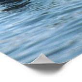 Groep Otters van Zee Poster (Hoek)