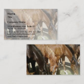 Groep paarden visitekaartje (Voorkant / Achterkant)