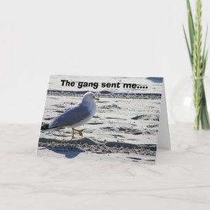 GROEP PARTIJ SEAGULL HUMOR-BIRTHDAY KAART