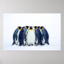 Groep Pinguïns Poster