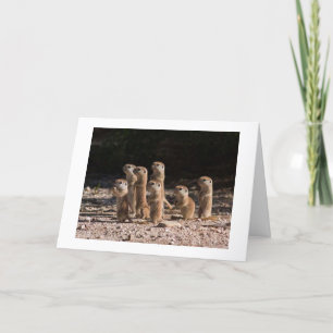 GROEP PRARIEHONDEN GEZEGDEN GELUKKIGE VERJAARDAG KAART