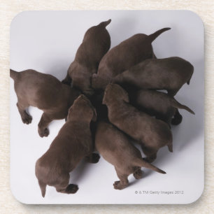 Groep puppies met hoofden drankjes onderzetter