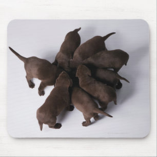 Groep puppies met hoofden muismat