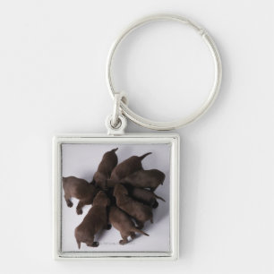 Groep puppies met hoofden sleutelhanger