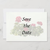 Groep Rode Geraniums Save The Date (Achterkant)