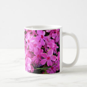 Groep roze Phlox Koffiemok