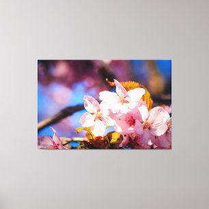 Groep Sakura Flowers, Zachte Roze, Blauwe achtergr Canvas Afdruk
