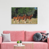 Groep Thoroughbred Foals Canvas Afdruk (Insitu (Woonkamer))