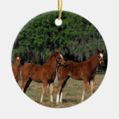 Groep Thoroughbred Foals Keramisch Ornament (Voorkant)