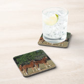 Groep Thoroughbred Foals Onderzetter (Rechterzijde)