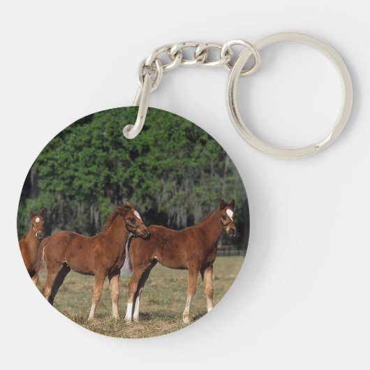Groep Thoroughbred Foals Sleutelhanger (Achterkant)