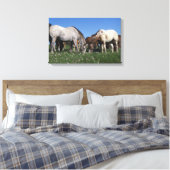 Groep van Appaloosa-paarden Grazing Canvas Afdruk (Insitu (Slaapkamer))
