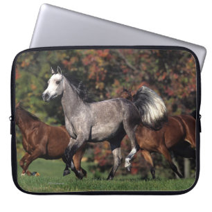 Groep van Arabische paarden Laptop Sleeve