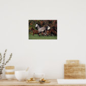 Groep van Arabische paarden Poster (Keuken)