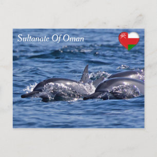 Groep van knelpuntdolfijnen - Oman Briefkaart