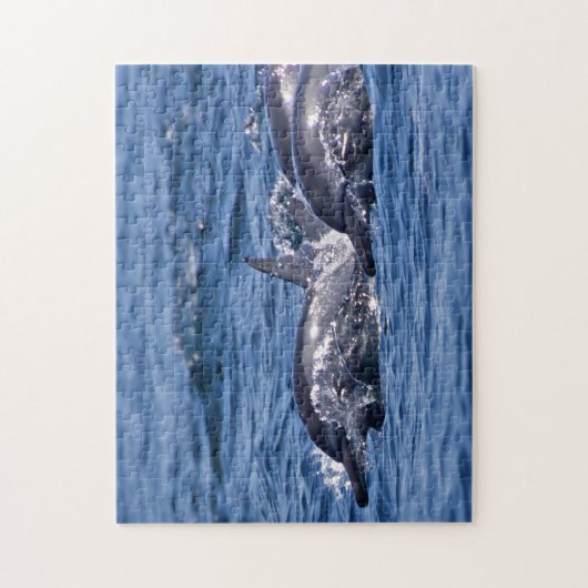 Groep van knelpuntdolfijnen - Oman Legpuzzel (Verticaal)