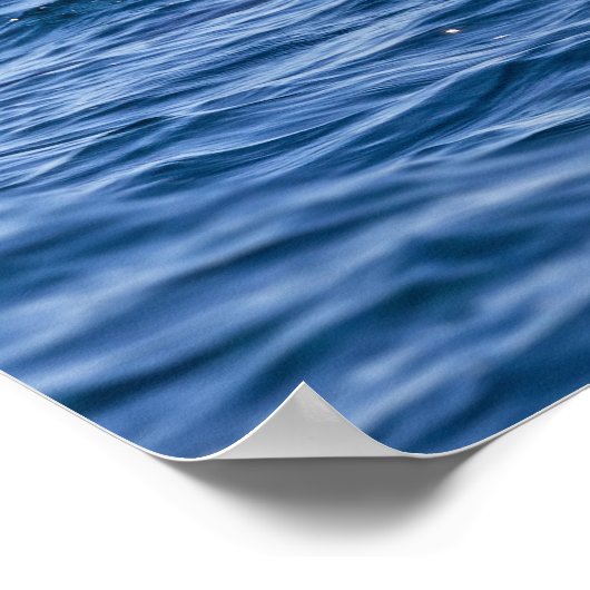 Groep van knelpuntdolfijnen - Oman Poster (Hoek)