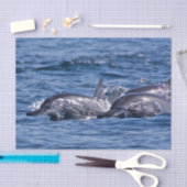 Groep van knelpuntdolfijnen - Oman Tissuepapier (Craft)
