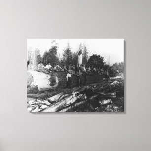 Groep van Lumberjacks op grote logboekfoto's Canvas Afdruk