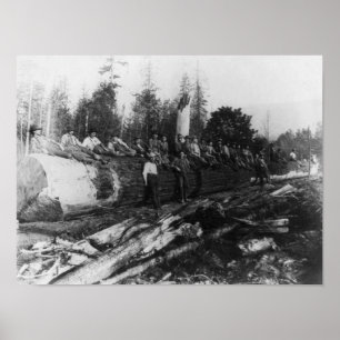 Groep van Lumberjacks op grote logboekfoto's Poster
