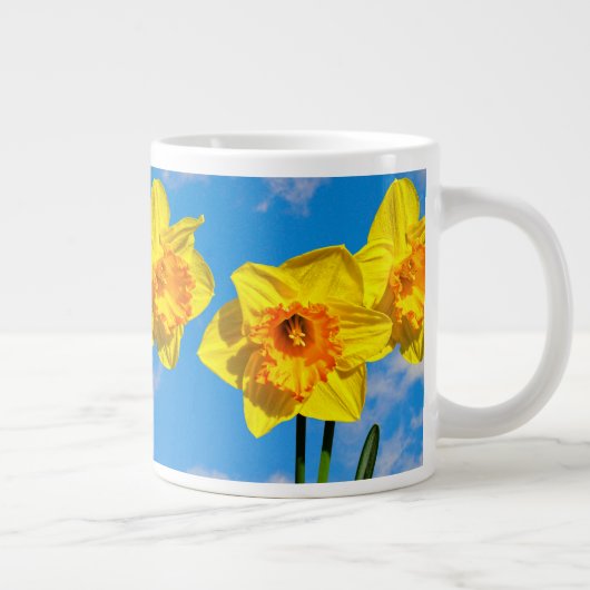 Groep van narcissen Gouden Medaille bloem Speciali Extra Grote Beker (Rechts)