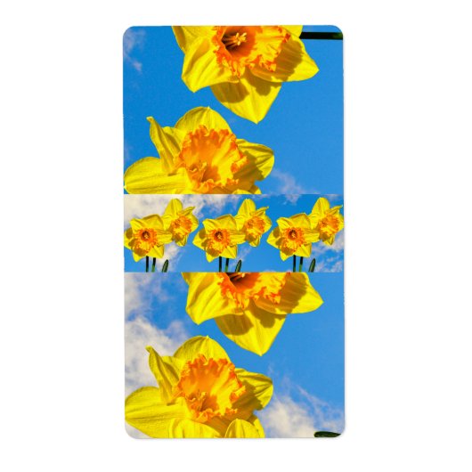 Groep van narcissen gouden medaille bloemen etiket (Voorkant)