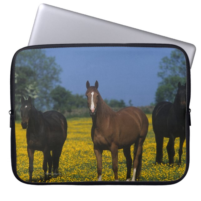 Groep van Thoroughbred Horses Laptop Sleeve (Voorkant)