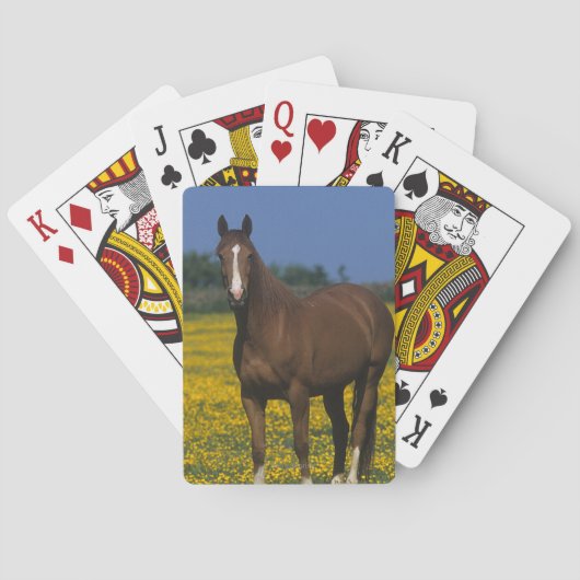 Groep van Thoroughbred Horses Pokerkaarten (Achterkant)