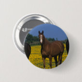 Groep van Thoroughbred Horses Ronde Button 5,7 Cm (Voorkant /achterkant)