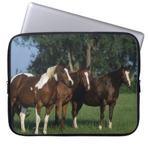 Groep van verfpaarden laptop sleeve