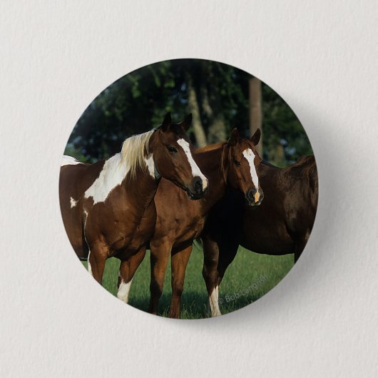 Groep van verfpaarden ronde button 5,7 cm (Voorkant)
