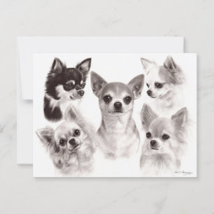 Groep van vijf Chihuahua's handgeschilderde kunstw Briefkaart
