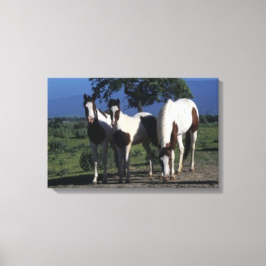 Groep verf paarden canvas afdruk (Voorkant)