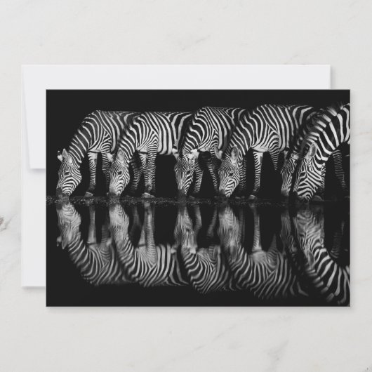 Groep vlaktezebra's drink 's nachts samen bedankkaart (Voorkant)