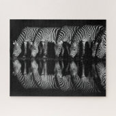 Groep vlaktezebras drinkt 's nachts samen legpuzzel (Horizontaal)
