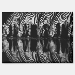 Groep vlaktezebras drinkt 's nachts samen magneet