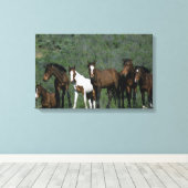 Groep wilde Mustang Paarden Canvas Afdruk (Insitu (Houten vloer))