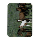 Groep wilde Mustang Paarden Magneet (Verticaal)